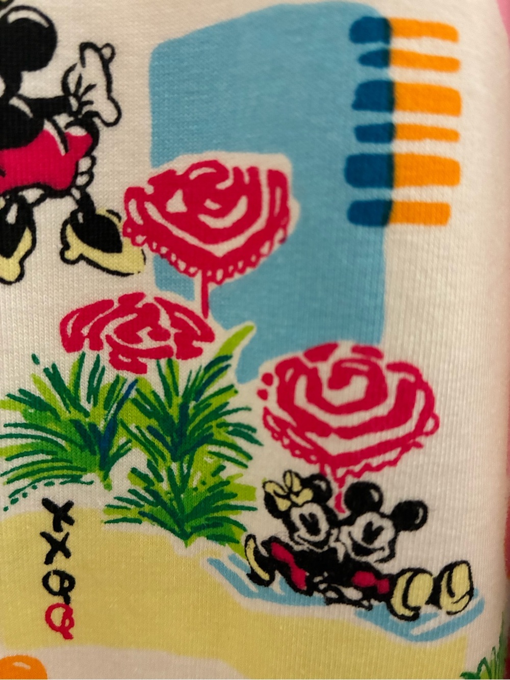 Disney x Lilly Pulitzer Colorful Tropical Half-Zip Pullover Popover Large EUC - Picture 13 of 13